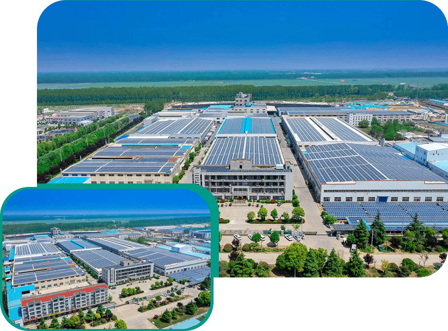 Company Profile